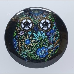 Cabochon Eule grün/blau