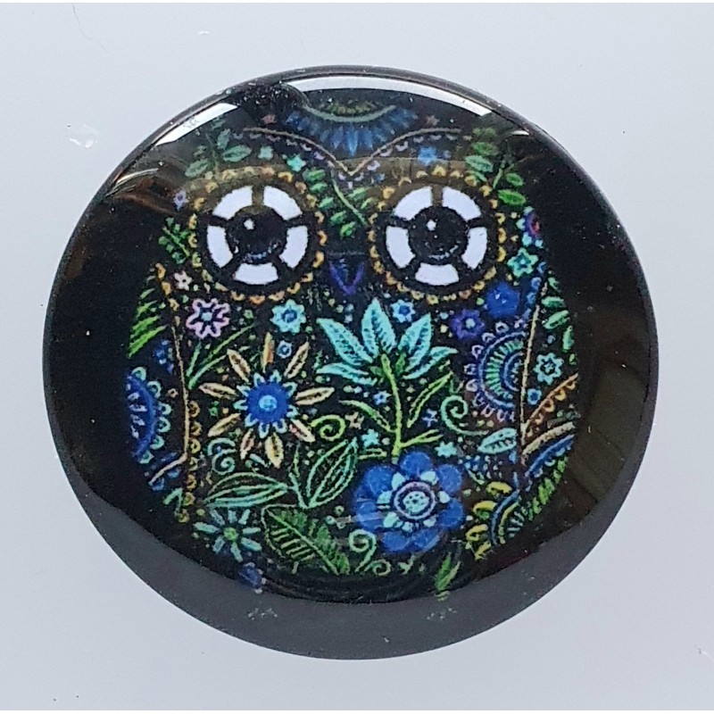 Cabochon Eule grün/blau