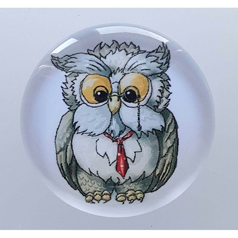 Cabochon Eule mit Brille