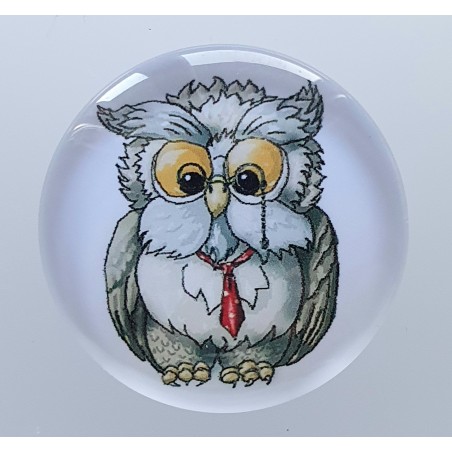 Cabochon Eule mit Brille