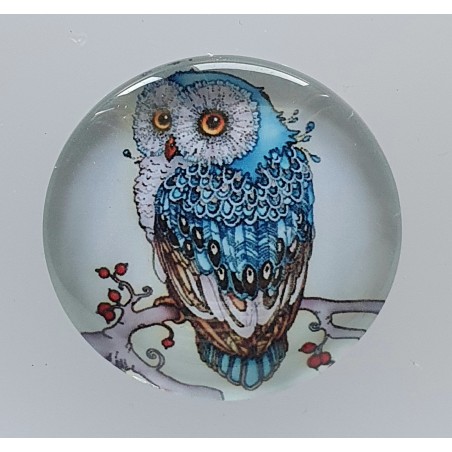 Cabochon Eule türkis