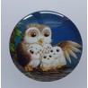 Cabochon Eulen Familie