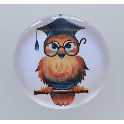 Cabochon Eulen Student
