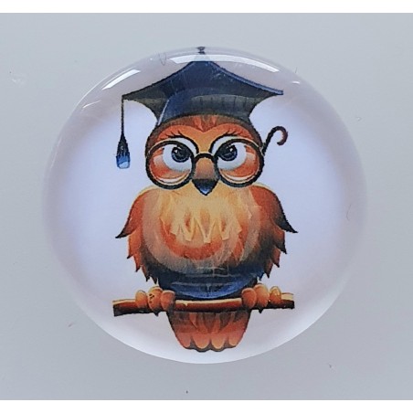 Cabochon Eulen Student