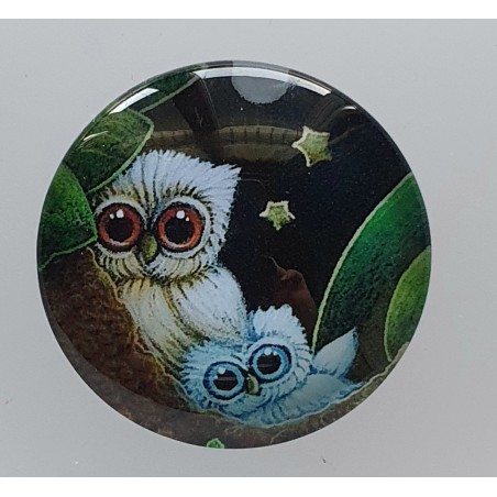 Cabochon zwei Eulen