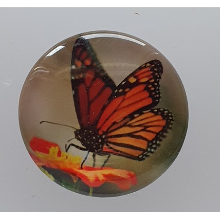 Cabochon Schmetterling orange