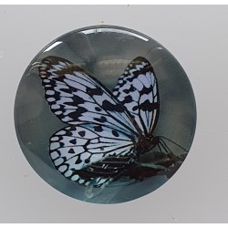Cabochon Schmetterling blau