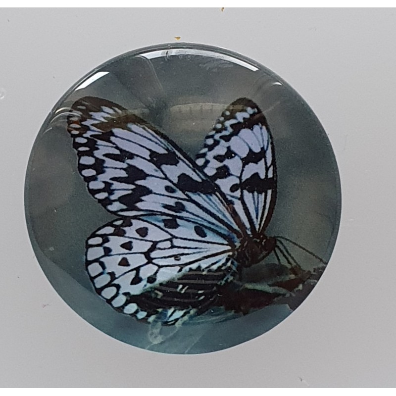 Cabochon Schmetterling blau