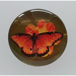 Cabochon Schmetterling orange