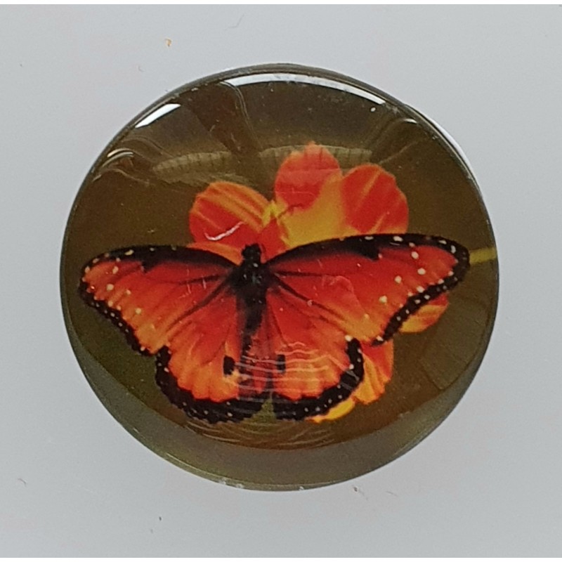 Cabochon Schmetterling orange
