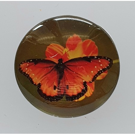 Cabochon Schmetterling orange