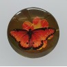 Cabochon Schmetterling orange
