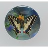 Cabochon Schmetterling blau