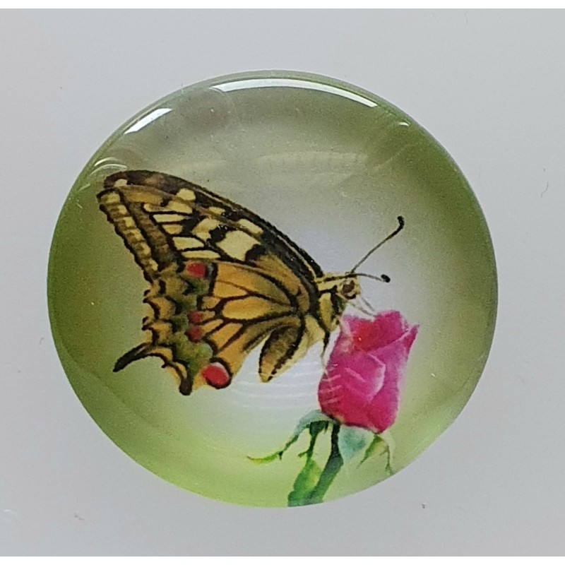 Cabochon Schmetterling grün