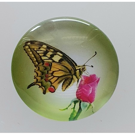 Cabochon Schmetterling grün