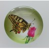 Cabochon Schmetterling grün