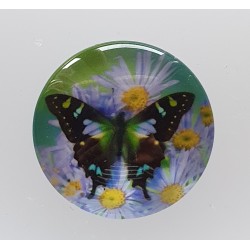 Cabochon Schmetterling violette