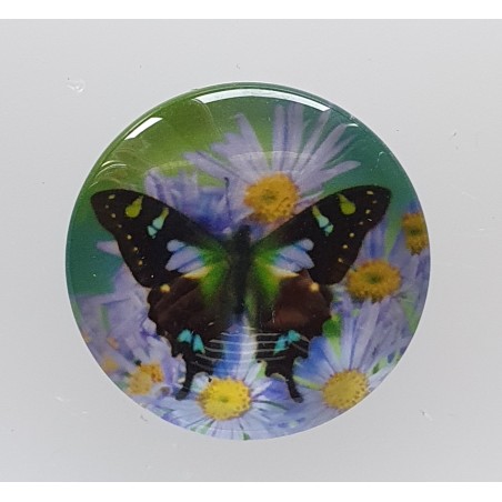 Cabochon Schmetterling violette
