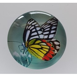 Cabochon Schmetterling gelb