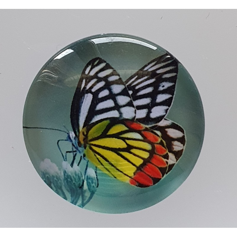 Cabochon Schmetterling gelb