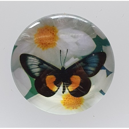 Cabochon Schmetterling orange