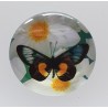Cabochon Schmetterling orange