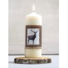 Wachsmotive Hirsch