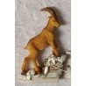 Steinbock Magnet 1