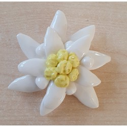 Porzellan Edelweiss