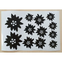Vinylmotiv Edelweiss schwarz