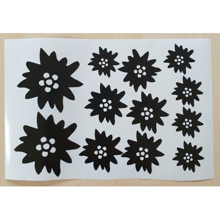 Vinylmotiv Edelweiss schwarz