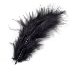 Marabu Federn schwarz