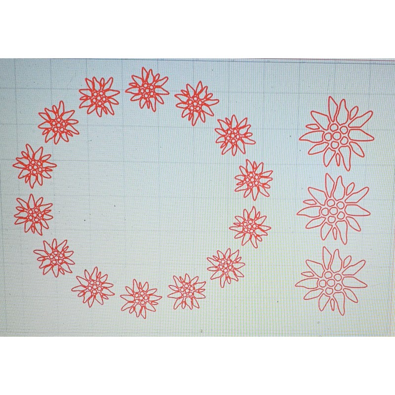 Schablone Edelweiss