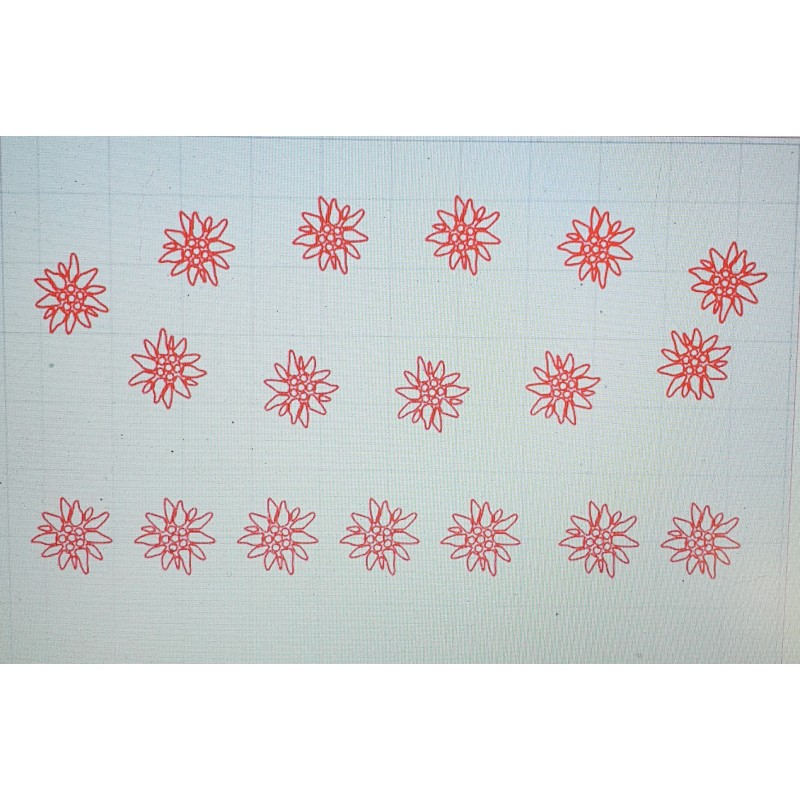 Schablone Edelweiss