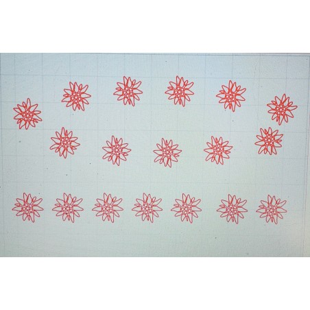 Schablone Edelweiss