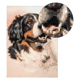 3D Diamant Pixel Bild Berner Sennenhund