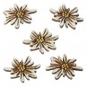 Holz Edelweiss