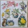 Serviette Kaninchen/Küken