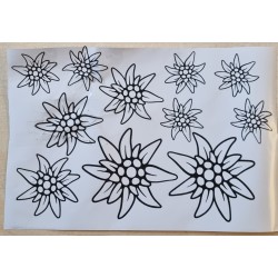 Vinylmotiv Edelweiss Konturen schwarz