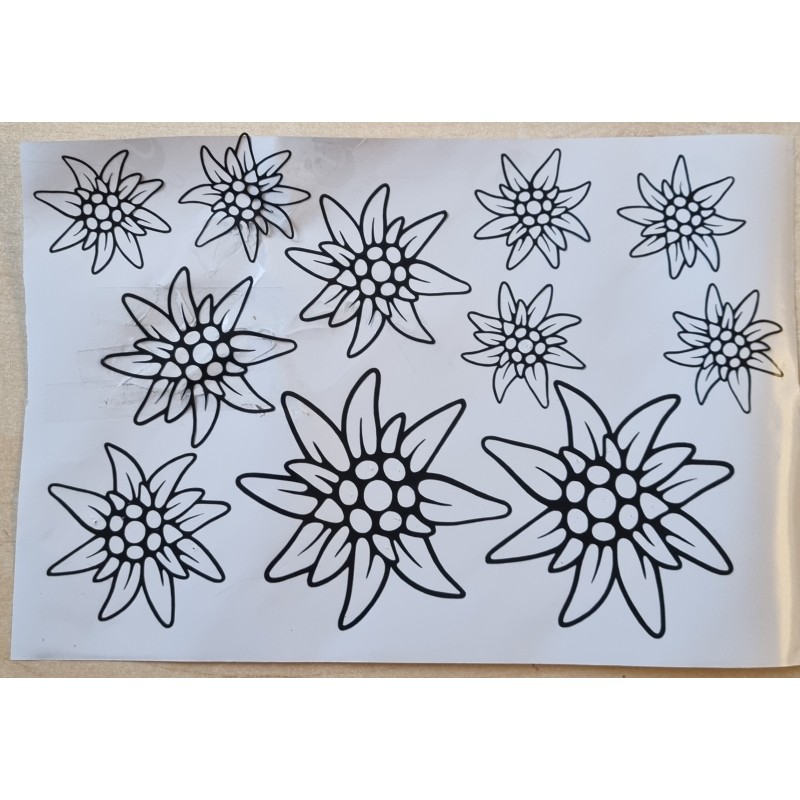 Vinylmotiv Edelweiss Konturen schwarz