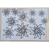 Vinylmotiv Edelweiss Konturen schwarz