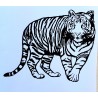 Vinylmotiv Tiger
