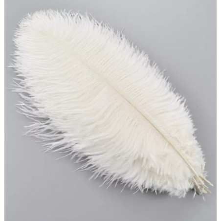 Straussenfeder weiss 18 cm