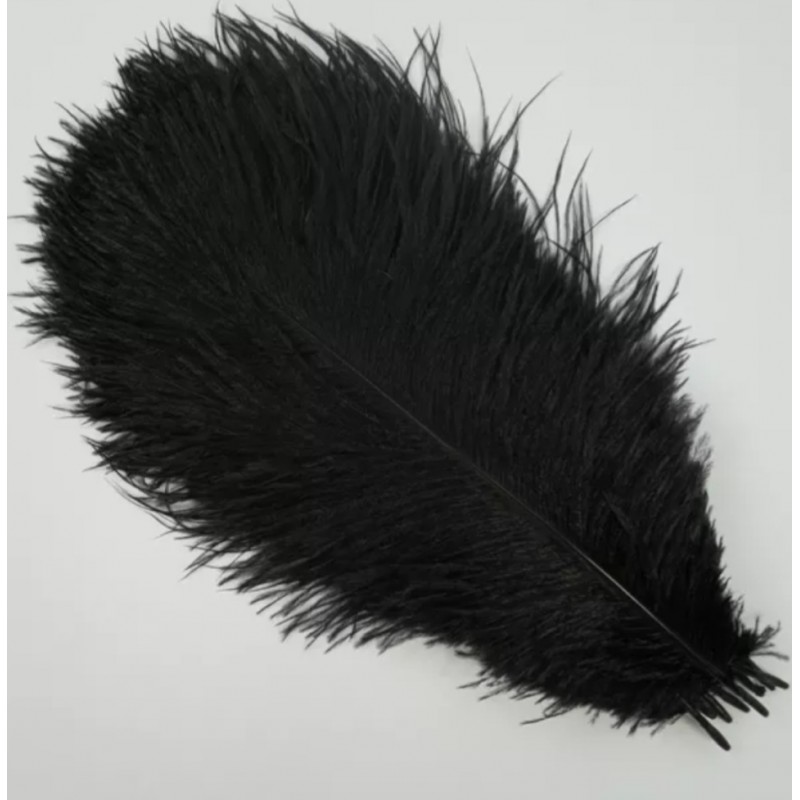 Straussenfeder schwarz 18 cm