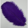 Straussenfeder violette 18 cm