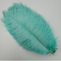 Straussenfeder mint 18 cm