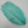 Straussenfeder mint 18 cm