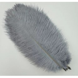 Straussenfeder hellgrau 18 cm