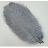 Straussenfeder hellgrau 18 cm