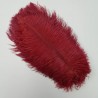 Straussenfeder weinrot 18 cm